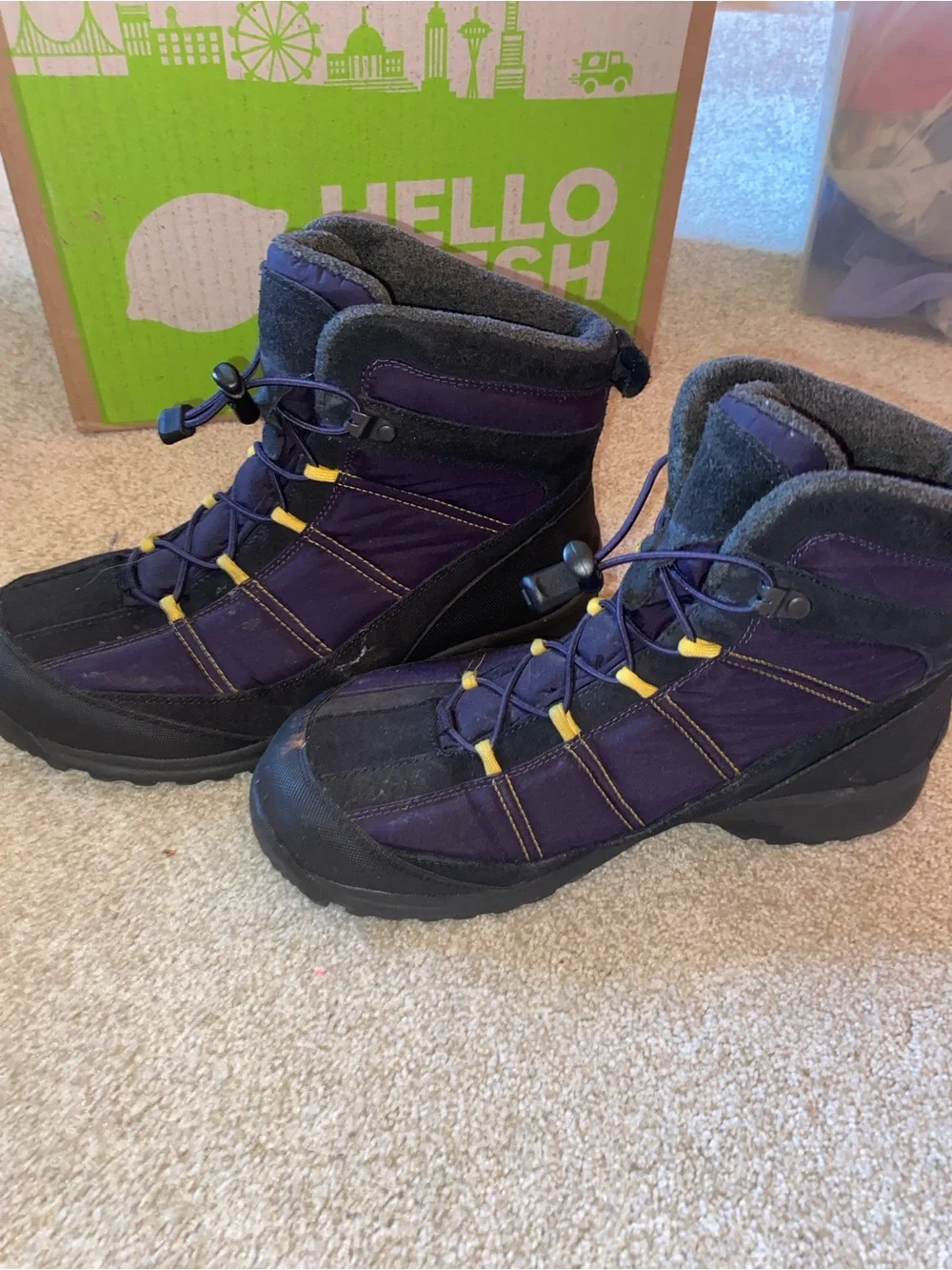 Lands End Purple Winter Hiking Boots
